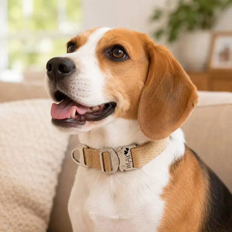 Custom Tactical Dog Collar - Free Engraving of Pet Name with Unique Vector Graphics Outdoor Adventure Walking Pet Supplies