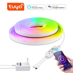 DC12V Tuya RGB LED Strip luci al Neon Smart Life interruttore WiFi telecomando Neon Sign Tape Cabinet Kitchen Decor Sync con musica