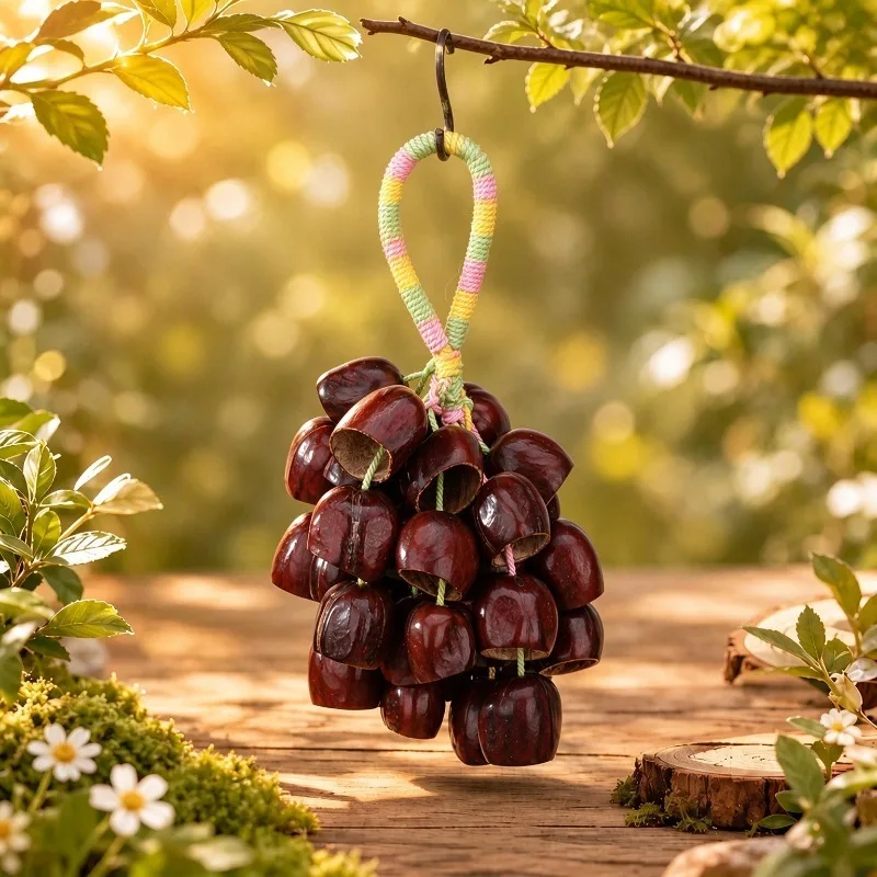 Natural Plant Shell Bell Handmade Hanging Sound Healing  Fruit Shells Wind Chime Relax Yoga Meditation Handbell Home Ornaments
