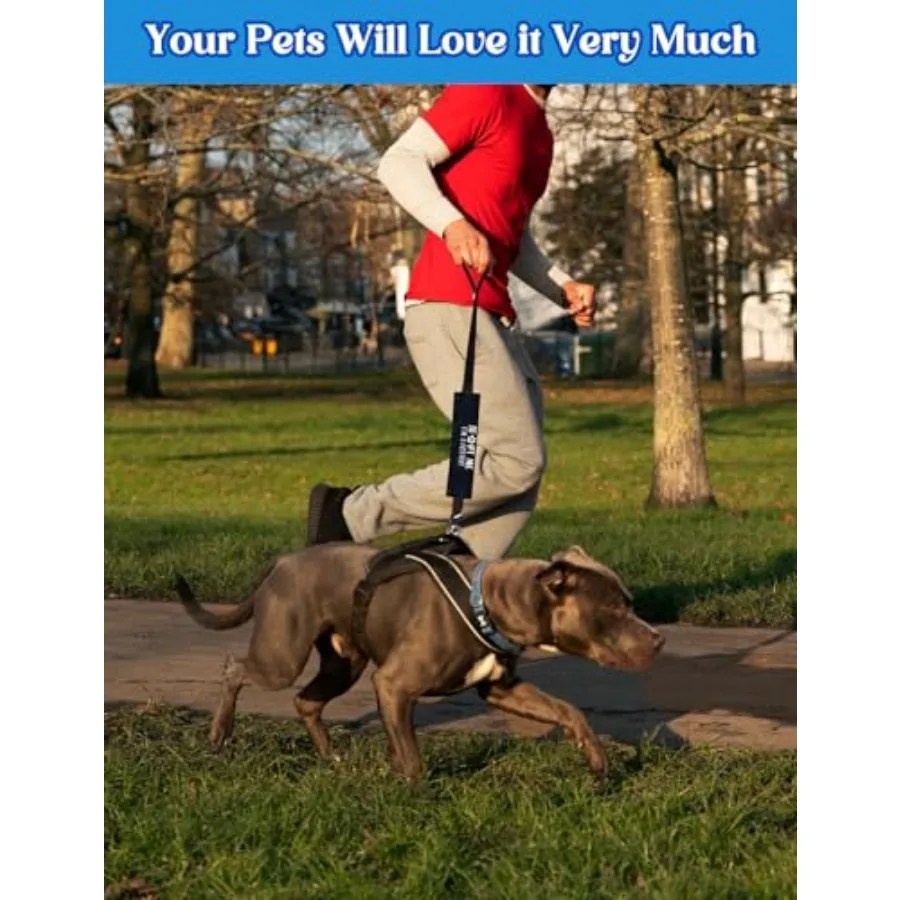 Adopt Me I'm A Foster 2 Set Funny Red and Black Dog Leash Sleeve Wrap Hanging ID Patch Tag for Foster Puppy Gift for Dog Owner