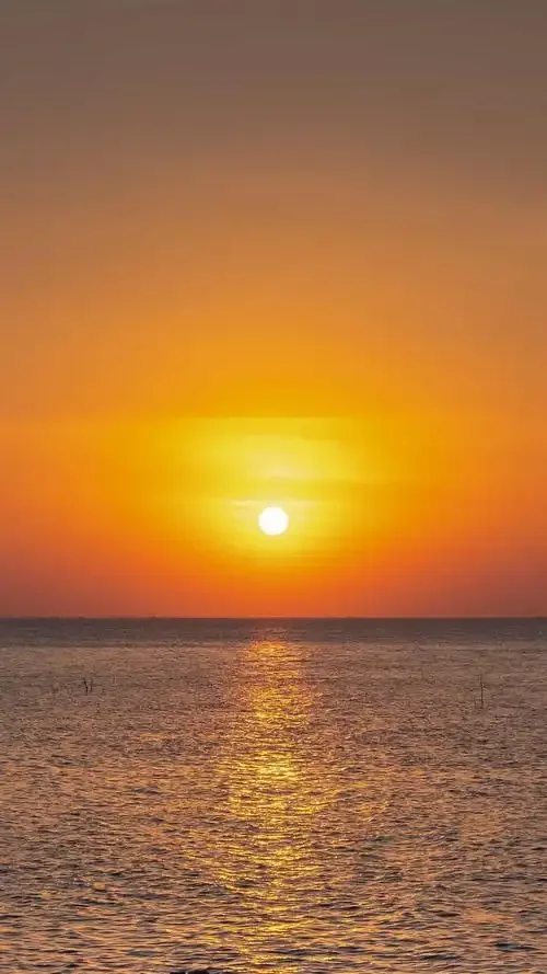 

AX3000 WiFi6 Repeater Extender Booster Dual Band 2.4G/5GHz Wi-Fi 6 Signal Amplifier Long Range Network Router for Home Office