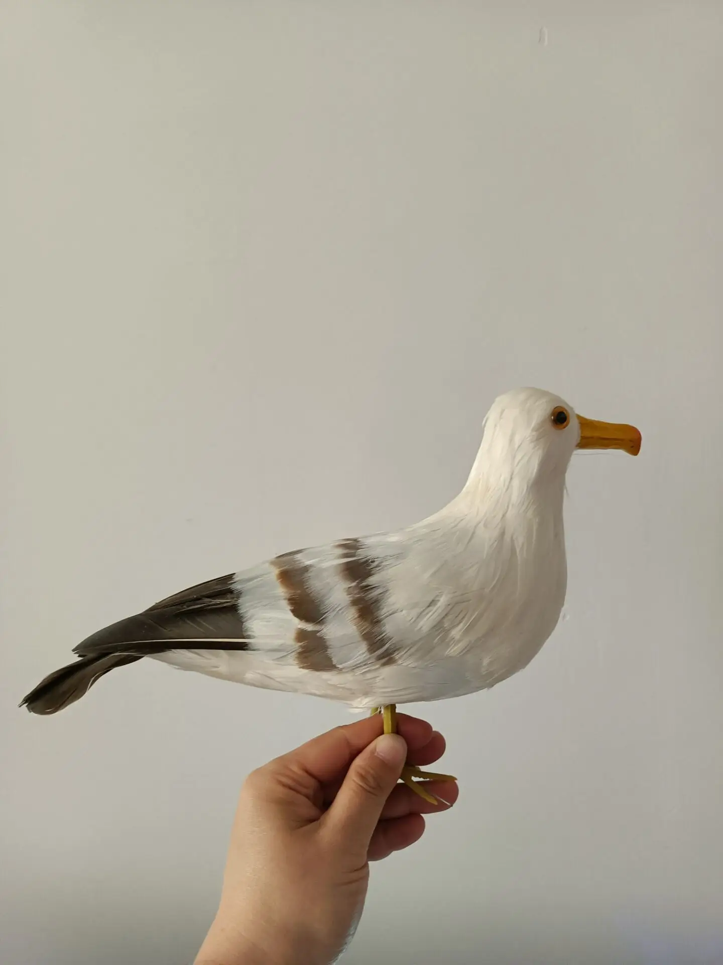 big simulation seagull model foam&feather bird doll gift about 32cm t2590