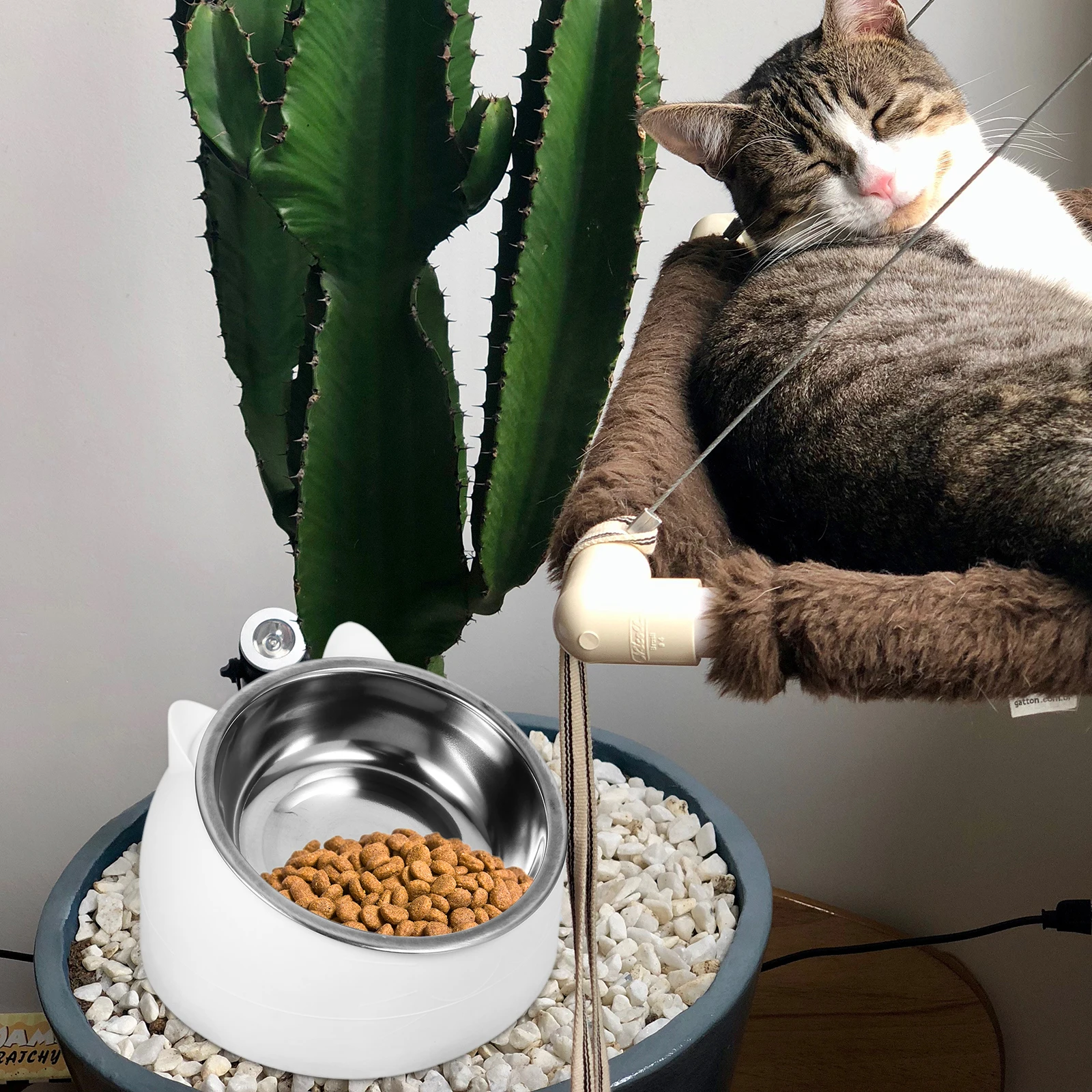 

1Set Elevated Cat Feeding Bowl Stainless Steel Tilted Design Neck Burden Reduction Comfortable Meal Time Pet Food Bowl