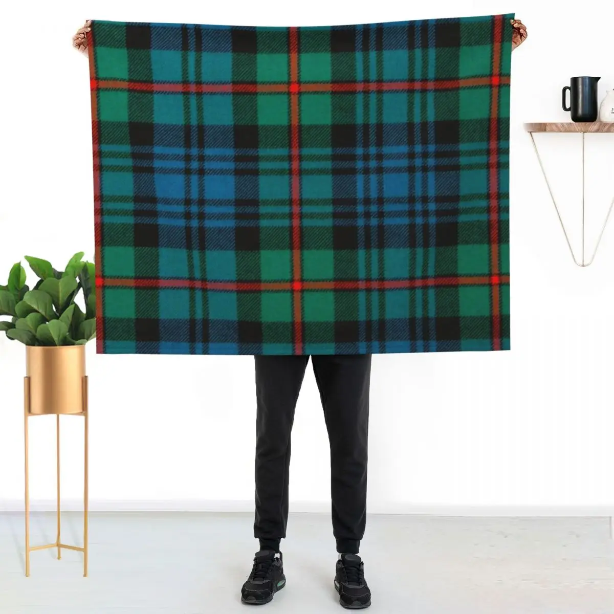 MacKinlay Ancient Throw Blanket for babies decorative Shaggy Custom Extra Large Throw Cute Plaid Blankets