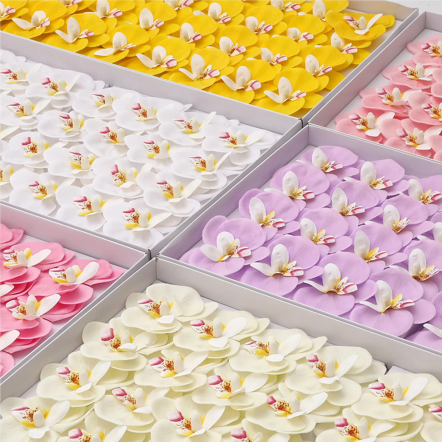 ดอกกล้วยไม้ฟาแลนนอปซิสแบบใหม่ - Soap Making Book บทวิจารณ์และราคา