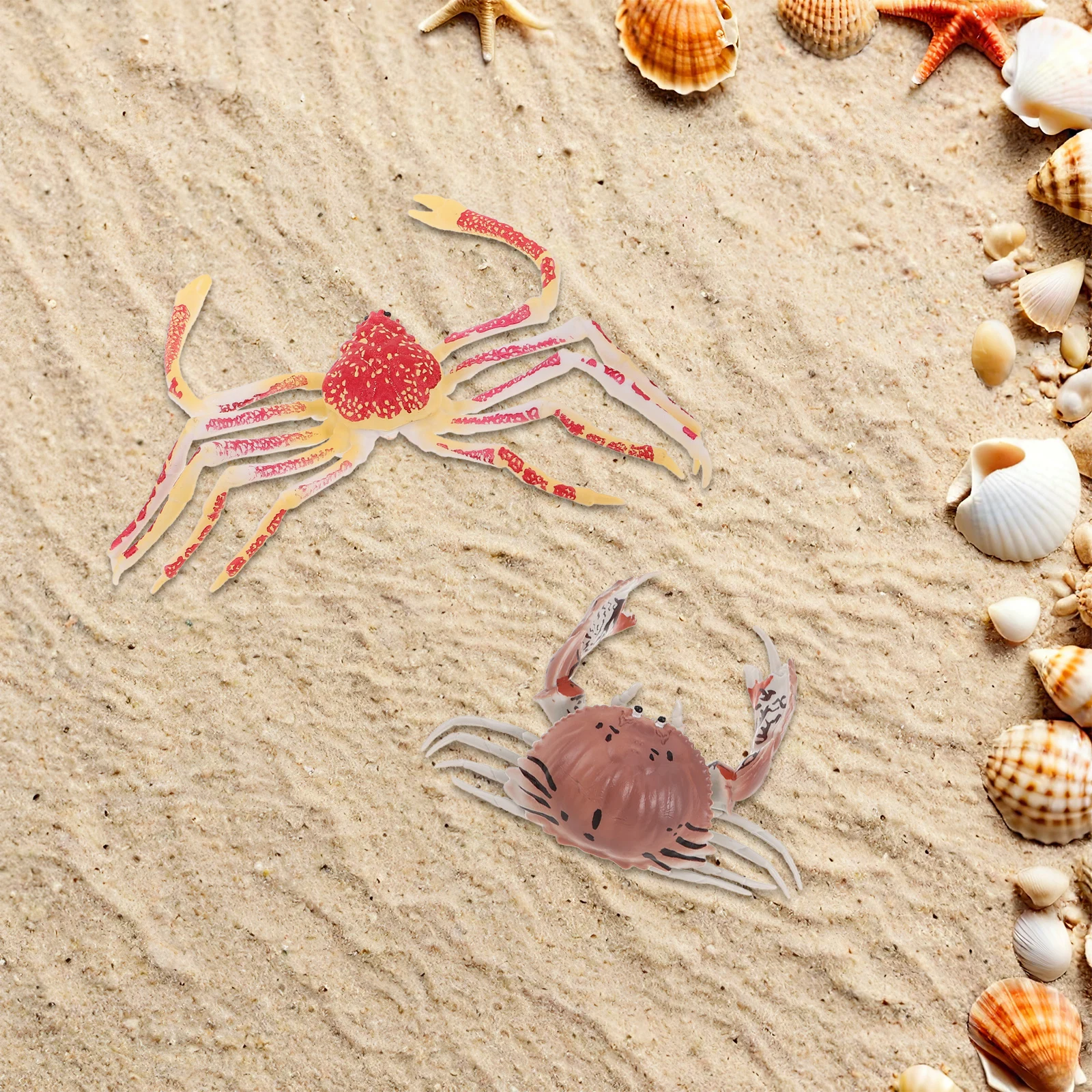 

2Pcs Realistic Ocean Crab Plastic Baby Toddler Educational Early Learning Sensory Decor for Preschool Cognitive Development