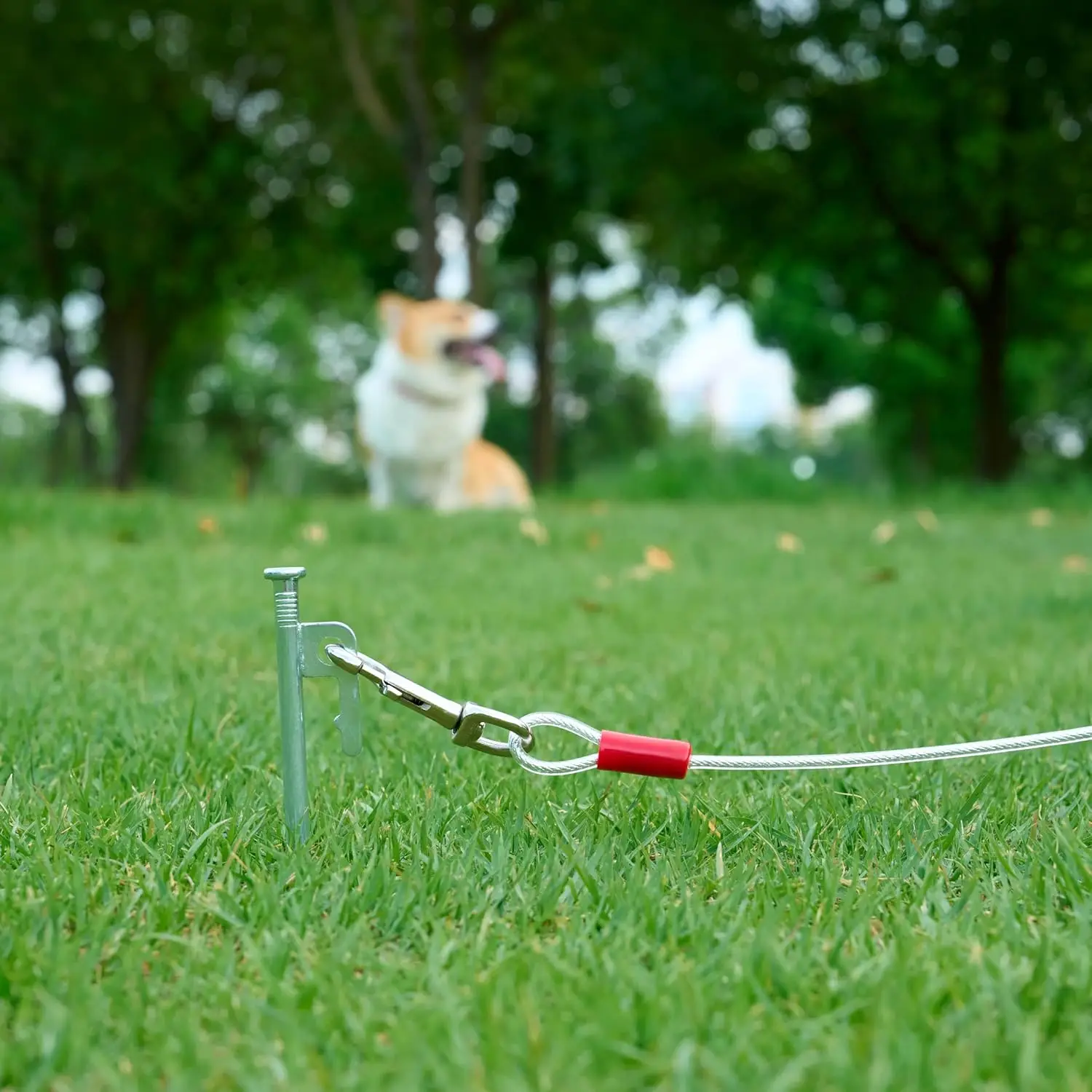 كابل ربط للكلاب حتى 90 رطلاً، 25 قدم، أبيض #4