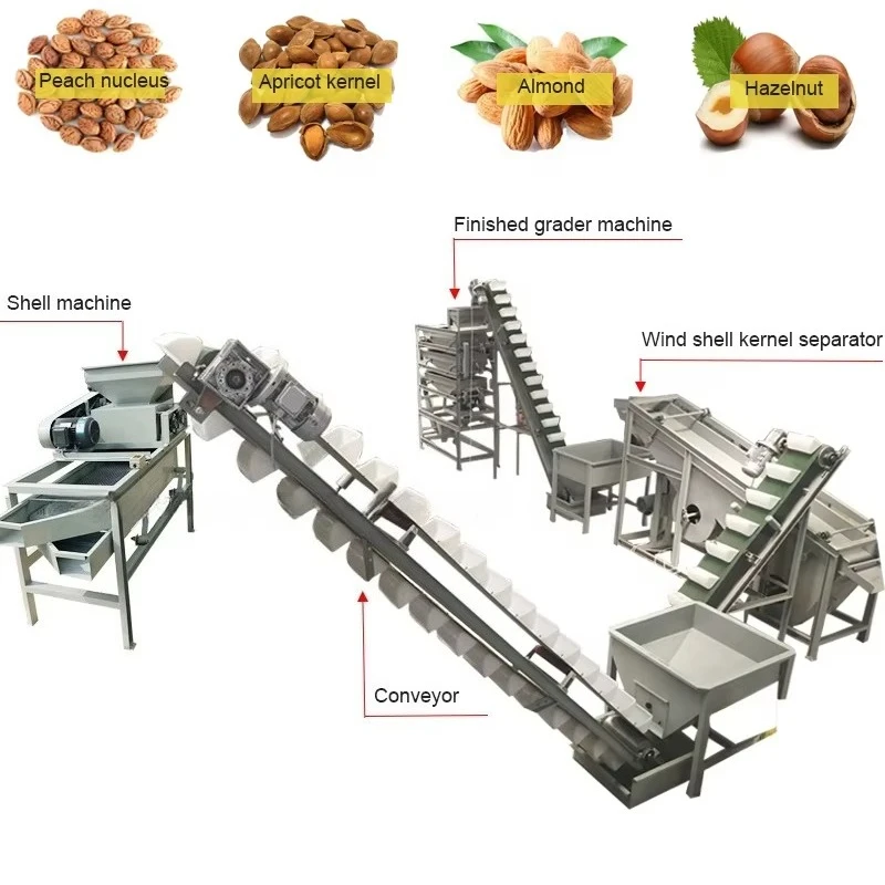 High-Efficiency Almond Nut Processing Plant Roasting Production Line Nut Processing Plant for Wholesales