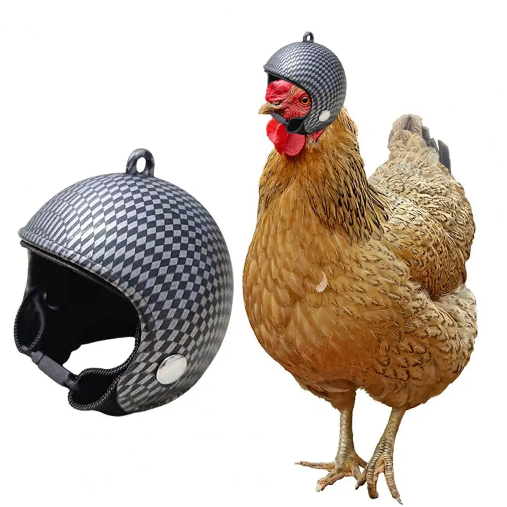 Casque de protection jetable pour petits oiseaux, équipement de sauna réglable, sûr, confortable, mignon, fournitures pour animaux de compagnie