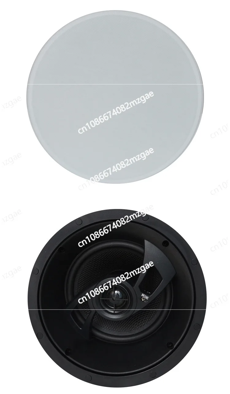 Circular Ceiling Speaker