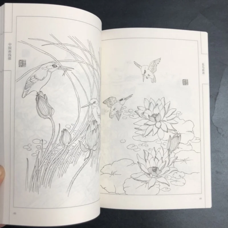 Coloring Book for Adults and Teens Featuring  with Easy and Simple Designs for Relaxation Chinese painting sketch