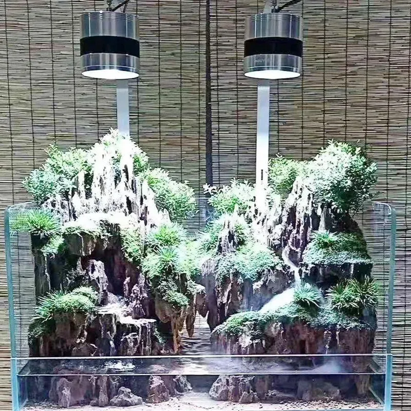 Jin Jing Five-Line Ultra-White Land and Water Fish Tank, Plant-Styled Aquarium, Ultra-White Glass Amphibian Rainforest Tank