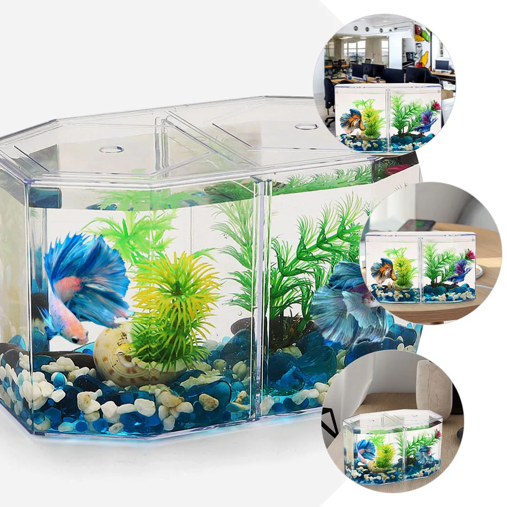 

Betta Fish Tank Divider Transparent Isolation Box For Aggressive Fish Household Breeding Tank Incubation Aquarium Accessory