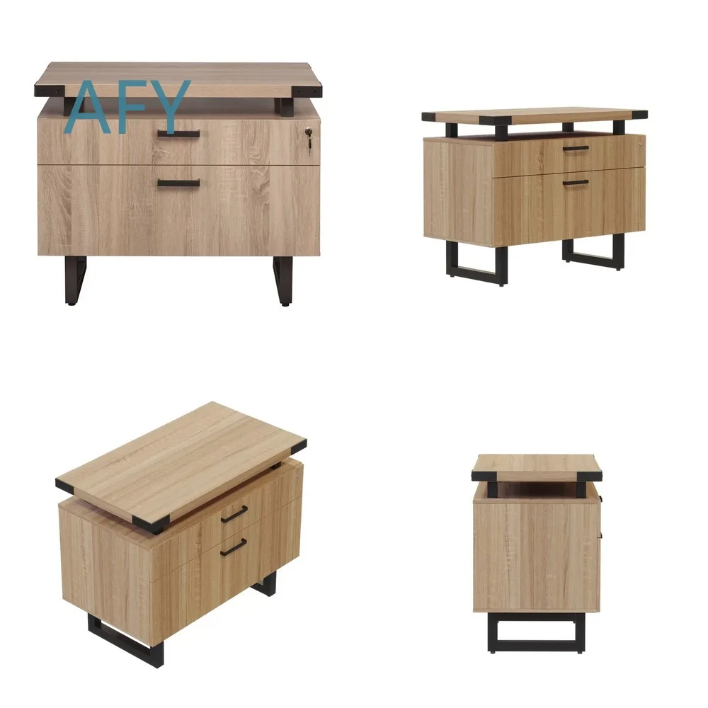Custom Panel File Cabinet Bookcase for Home Office Use Steel Frame Storage Locker with Adjustable Shelves for Document