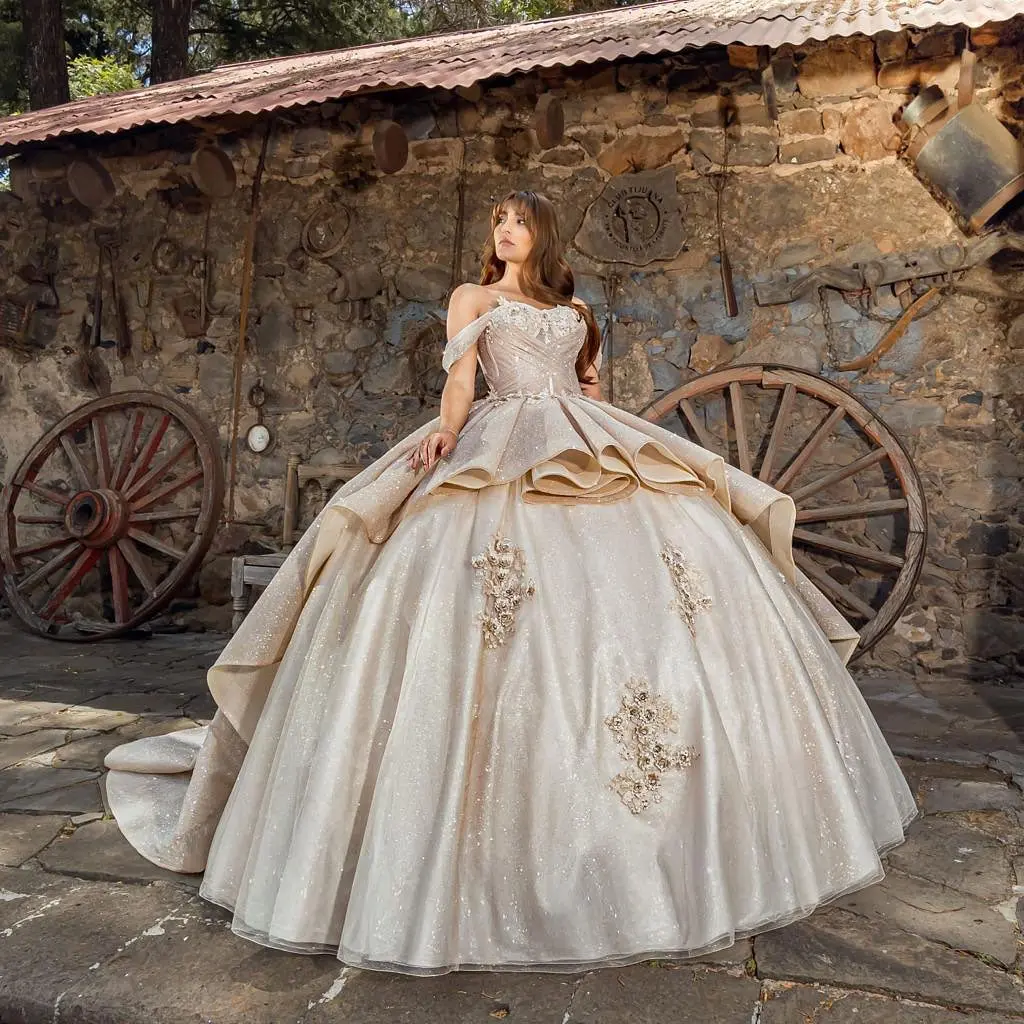 

Customized Champagne Gloden Quinceanera Dress 2025 Princess Sweet 16 Dress Birthday Party Gown Long Puffy Vestidos De 15 Anos