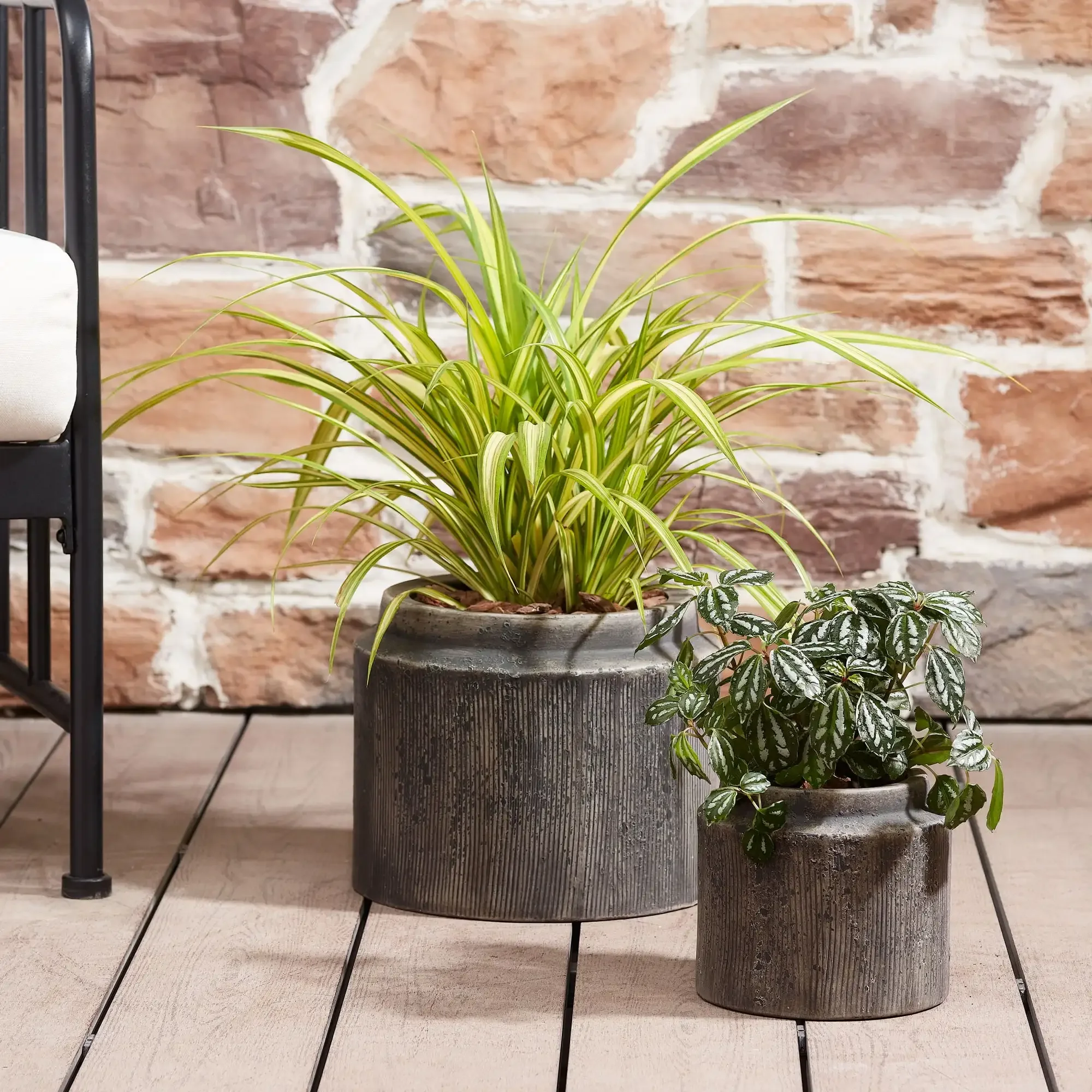 

8-Inch Alexander Brown Ceramic Planter with Classic Design, Indoor Decorative Pot