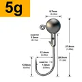 5g