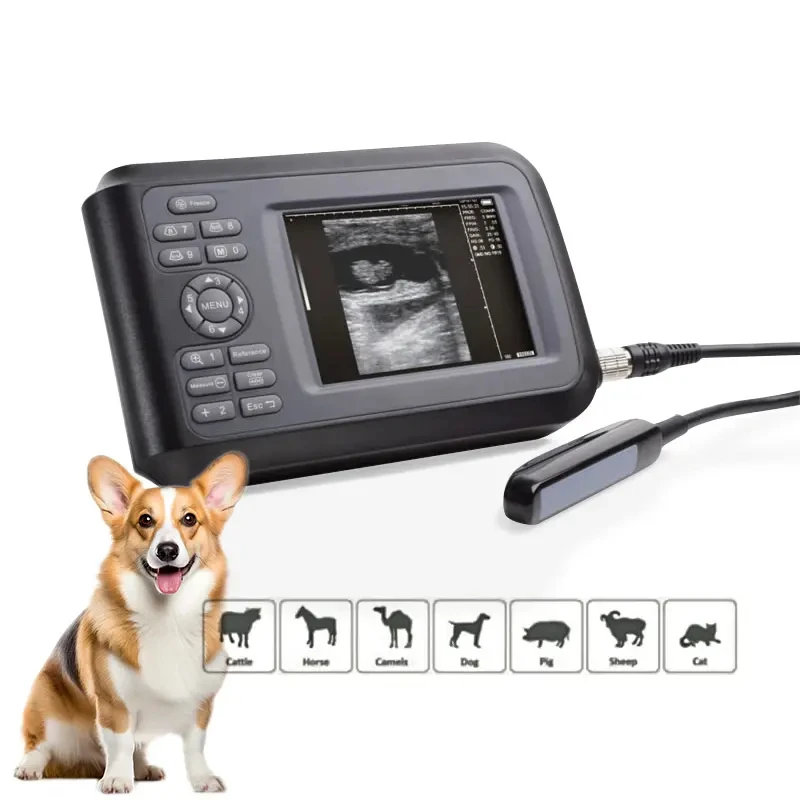 Smart F Vet Veterinary Ultrasound Scanning Diagnostic Handheld Ultrasound