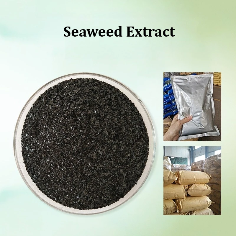 

500 г/1000 г, экстракт морских водорослей с классическим деградацией, зеленое органическое удобрение, горшок для сочных цветов для улучшения питания почвы