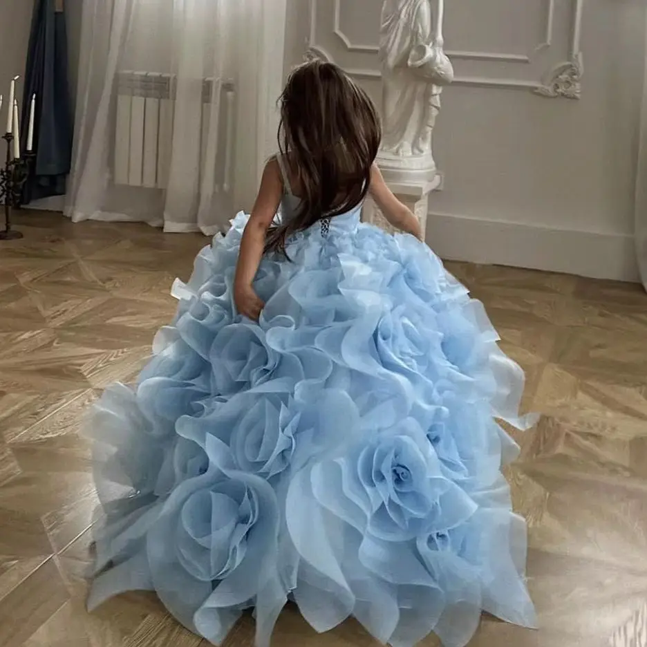 Sky Blue Flower Girl Dresses For Wedding Princess 3D Rose Tulle Skirt Litter Girl's Baby Birthday Party Prom Photo Shoot Gowns image 4