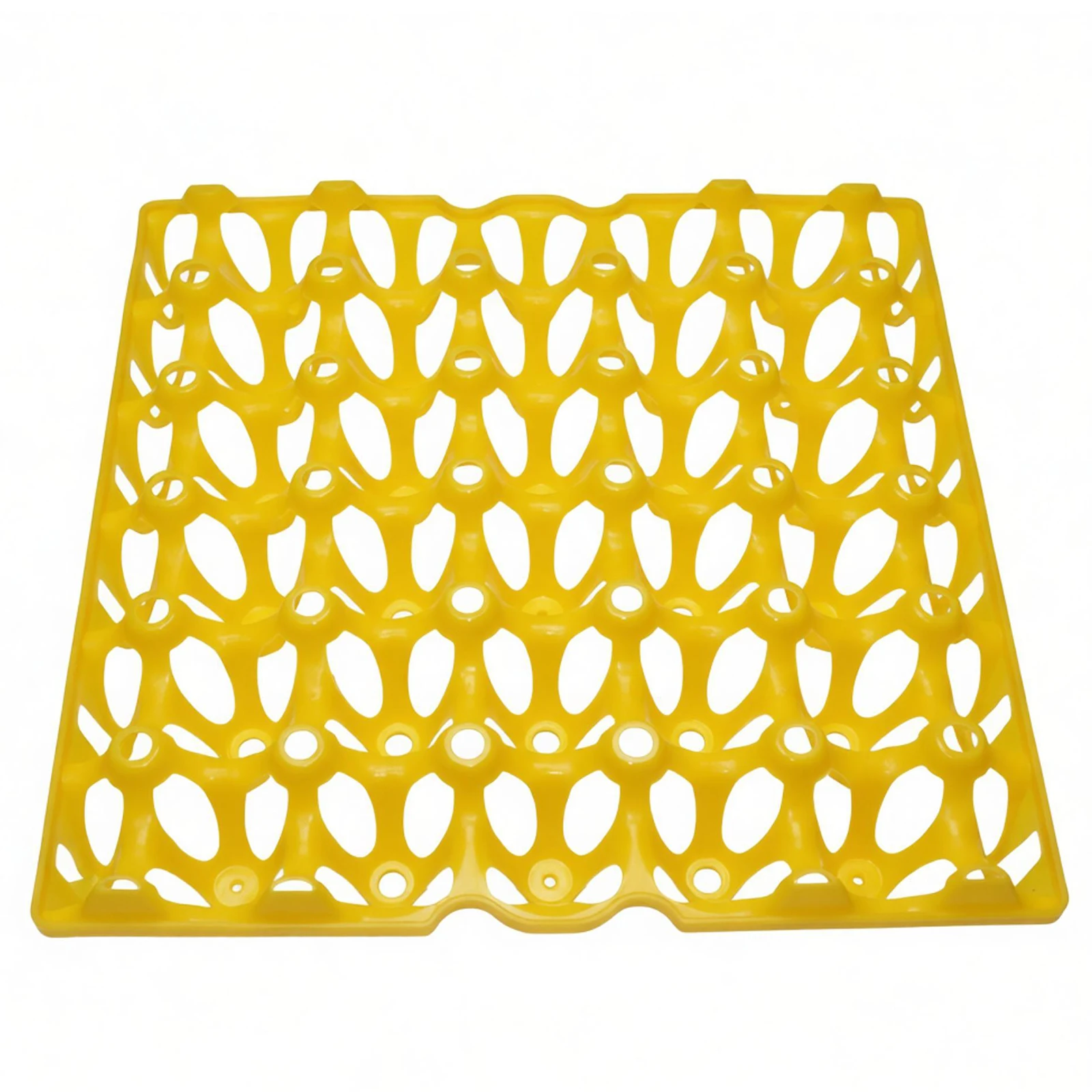 10 Pcs Farm Egg Tray 288*288*48mm Egg Tray Transportation And Storage Of Eggs Recycling Plastic Material Egg Trough Depth 36mm