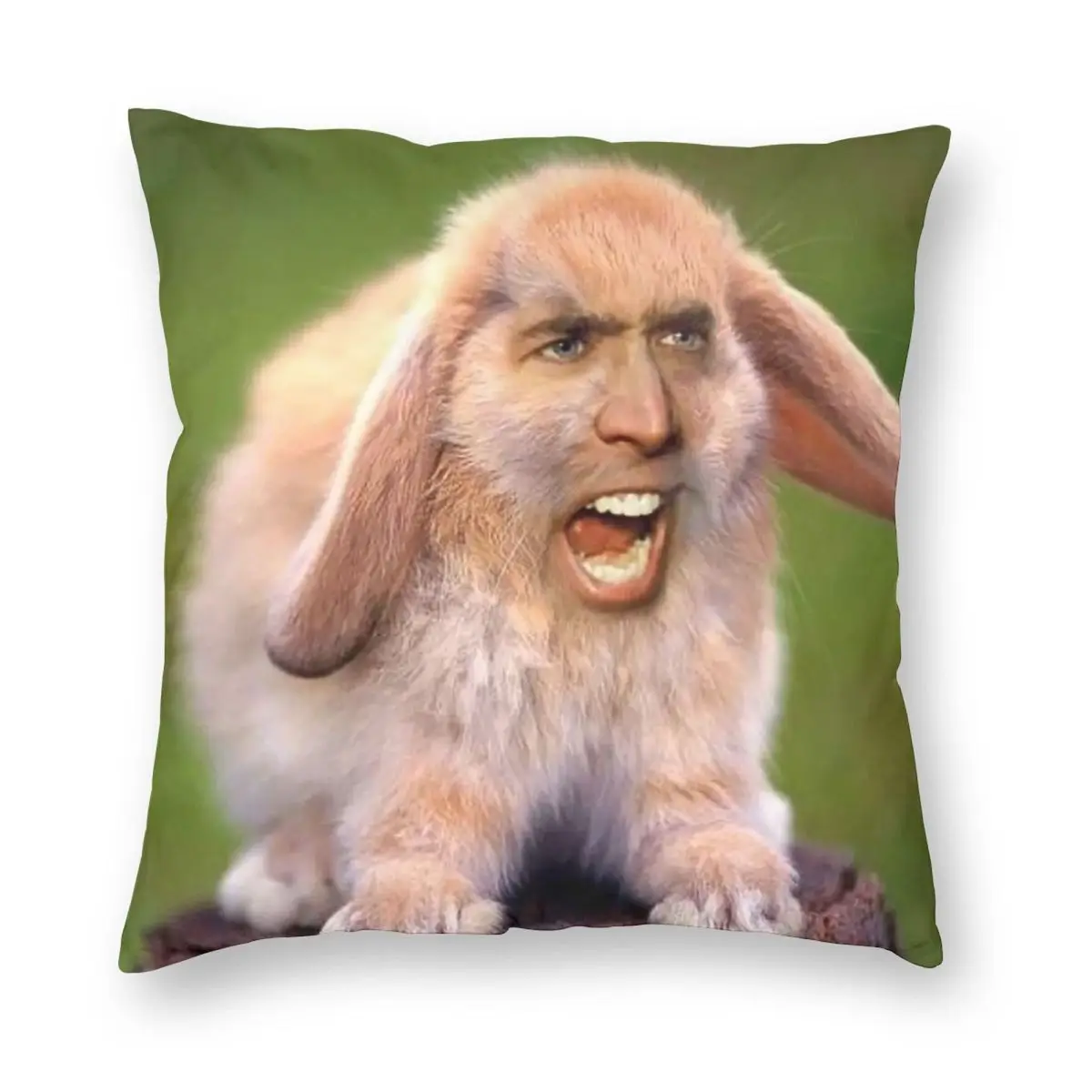 Funny Emoticons Nicolas Cage Square Pillowcase Pillow Cover Cushion Decor Comfort Throw Pillow for Home Living Room