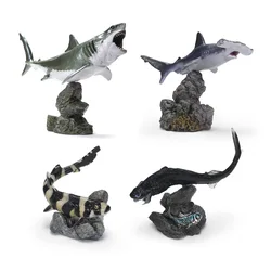 Japanese Genuine Gacha Scale Model Mini Biological Cognitive Model Great White Shark Spiny Shark Action Figure Toys