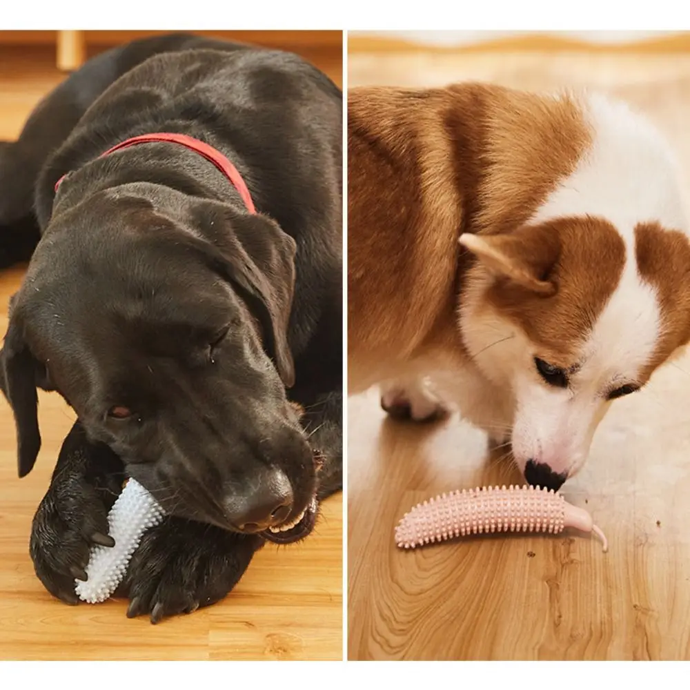 แท่งขัดฟันสุนัขรูปแตงกวา ทนทานต่อการสึกหรอ ทำจาก TPE แท่งกัดสำหรับสุนัข ทนต่อการกัด แท่งทำความสะอาดฟันสำหรับสัตว์เลี้ยง