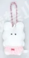 rabbit white