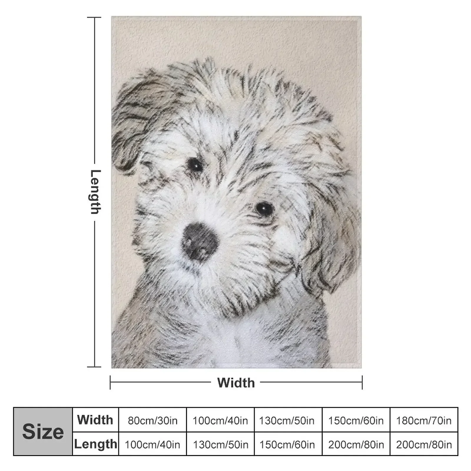 Havanese Puppy Throw Blanket Comforter Decorative Beds For Decorative Sofa Sofa Quilt Blankets