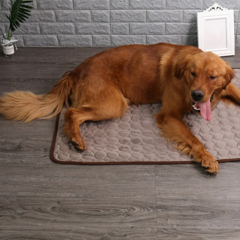 Pet Summer Cooling Mat 4