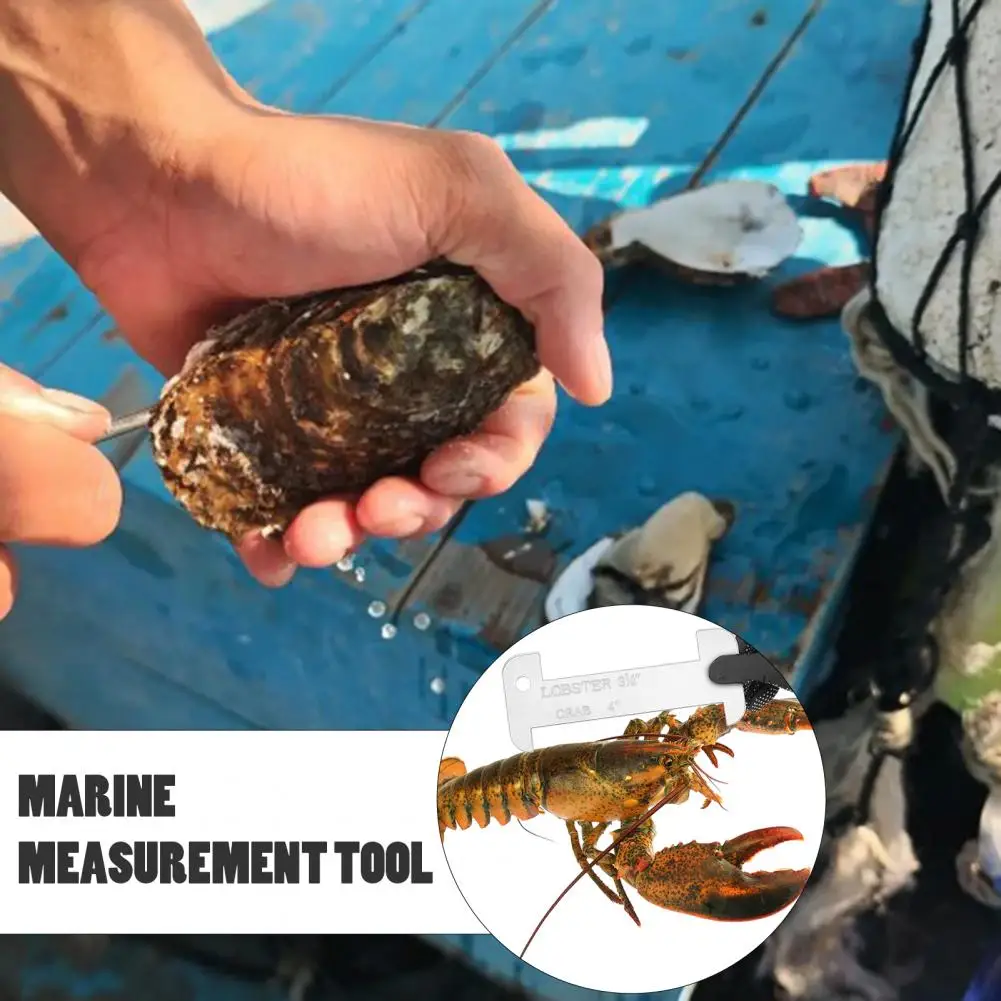 Precise Scale Fish Ruler Acrylic Measurement Gauge with Precise Scale Markings Corrosion Resistant Tool Ruler Ergonomic Grip