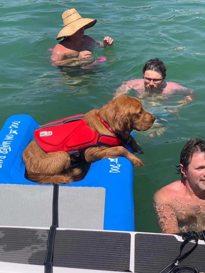 Custom Logo Inflatable Boat Dog Ladder Climb Ramp Platform Inflatable Water Ramp