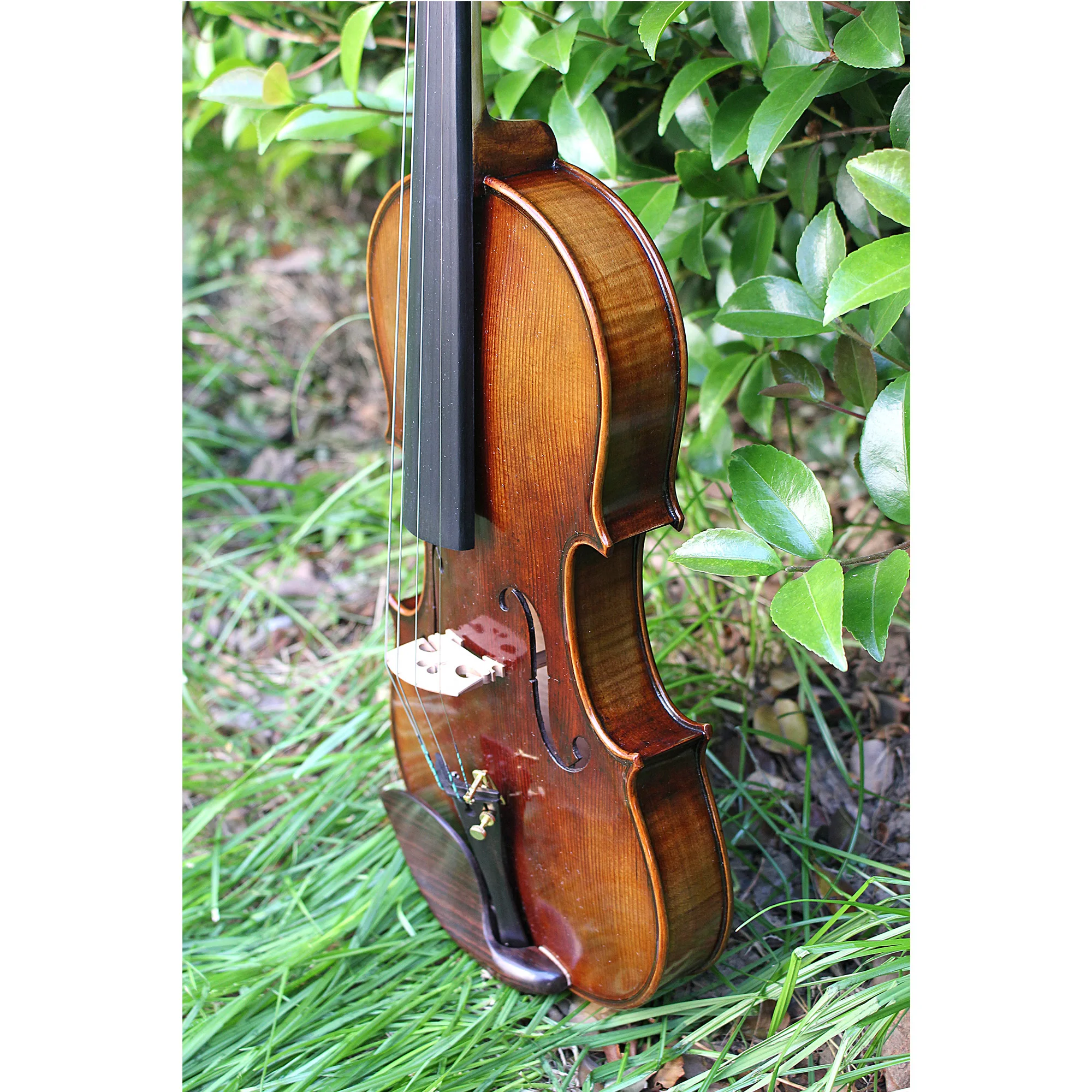 

Акустическая виола Advanced 15/16 дюймов с огненной отделкой, высококачественный струнный инструмент из массива дерева для студентов и практикующих музыкантов
