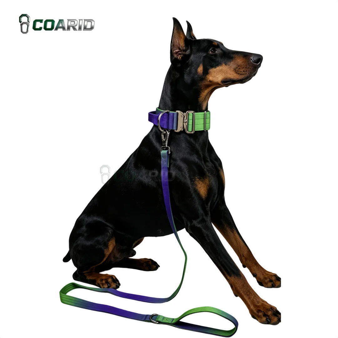 #44 Puppy Training Collars Comparison Guide