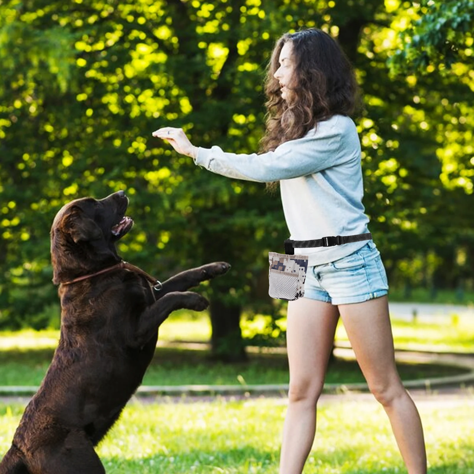 

Dog Training Treat Pouch Oxford Cloth Portable Waist Bag Outdoor Dog Snack Holder Spacious Pet Food Carrying Bag