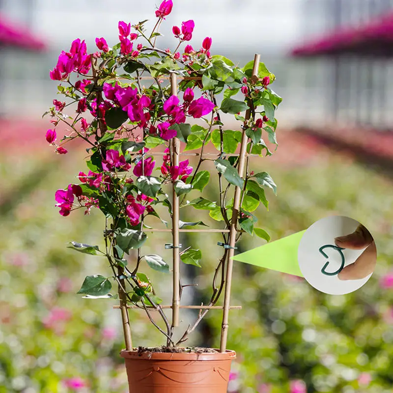 Plastic Garden Vine Strapping Clips Tie Plant Bundled Buckle Ring Garden Tomato Grapevine Hook Plants Support Tools