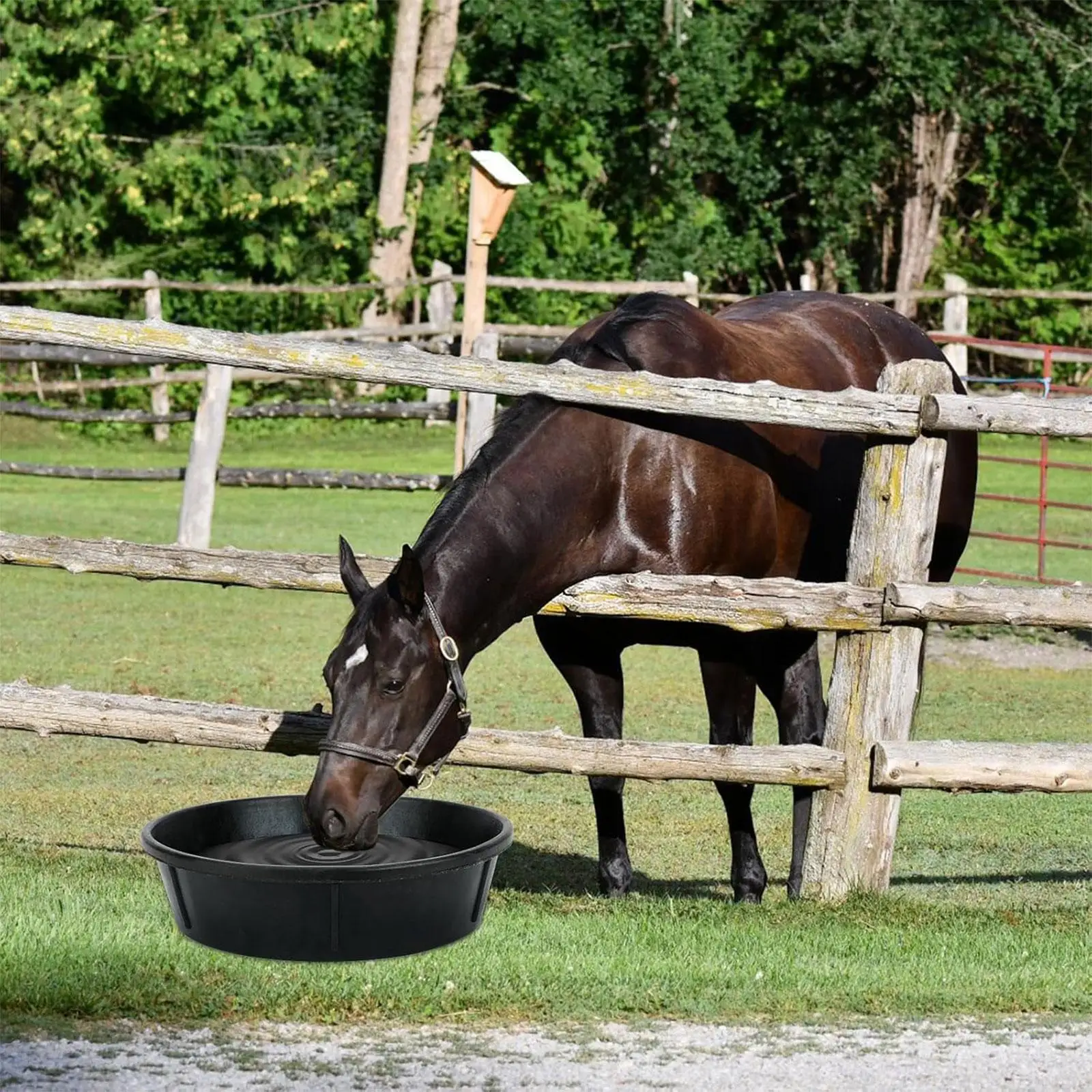 دلو تغذية الحصان، مستلزمات قابلة للتكديس، حاوية تغذية مقاومة للاهتراء، حوض استحمام لغبار الدجاج لمزرعة الحيوان الخارجية #1