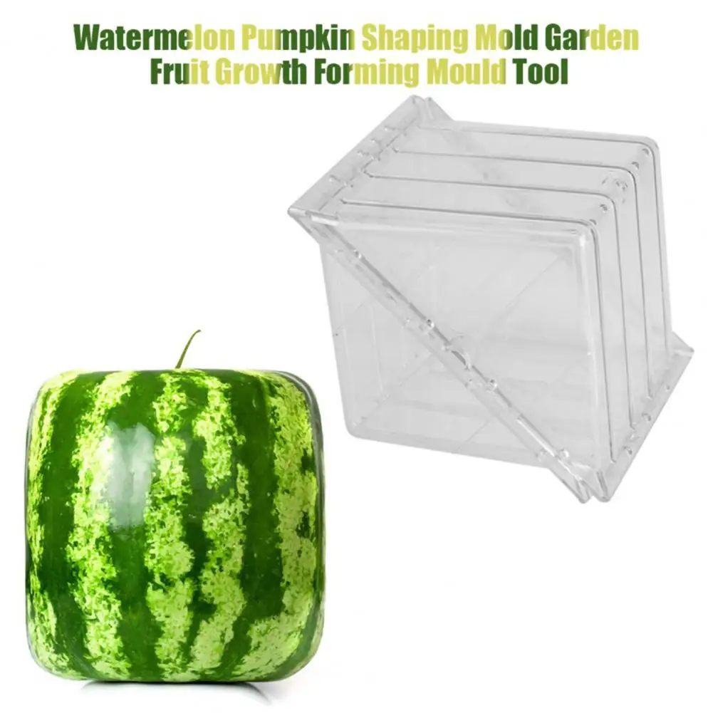 Watermelon Shaping Mold Plastic Square Shape Watermelon Growing Mold Watermelon Growing Box Growing Mold Garden Fruit Protector