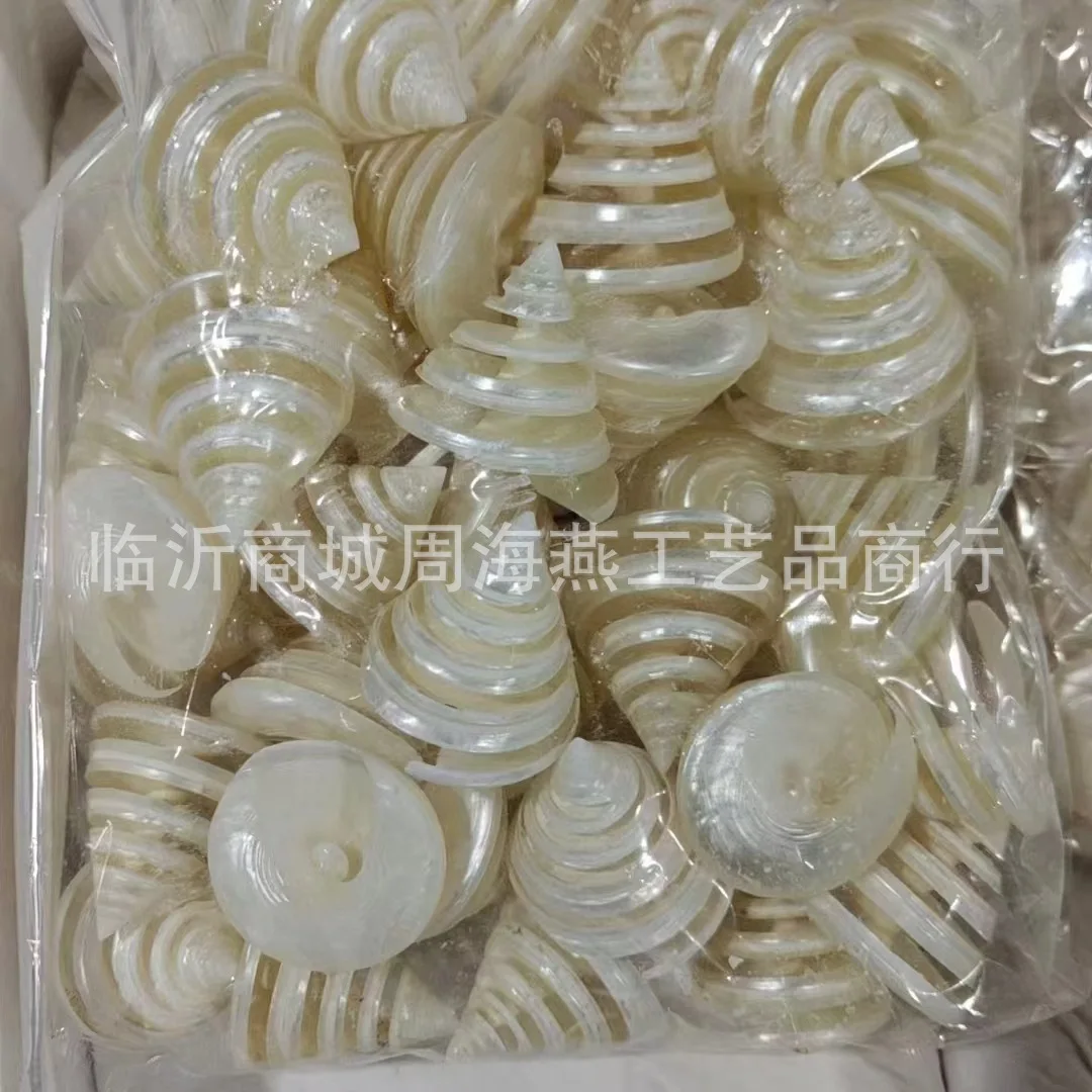 Conchas de conchas naturales para exploración y decoración de acuarios, que incluyen Turbo Pica (concha de torre) y Lambis Lambis (concha de perla)