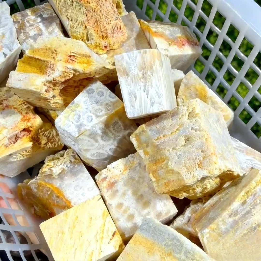 Natural Coral Stone Raw Stone Unique Texture Suitable for Jewelry Making and Home Decoration Gift for Mother's Day and Friends