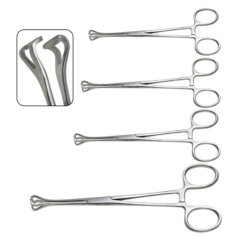 Babcock Gewebepinzette, Appendektomie-Pinzette, Hochwertiger Edelstahl, Orthopädisches Tierchirurgie-Instrument, Autoklavierbar