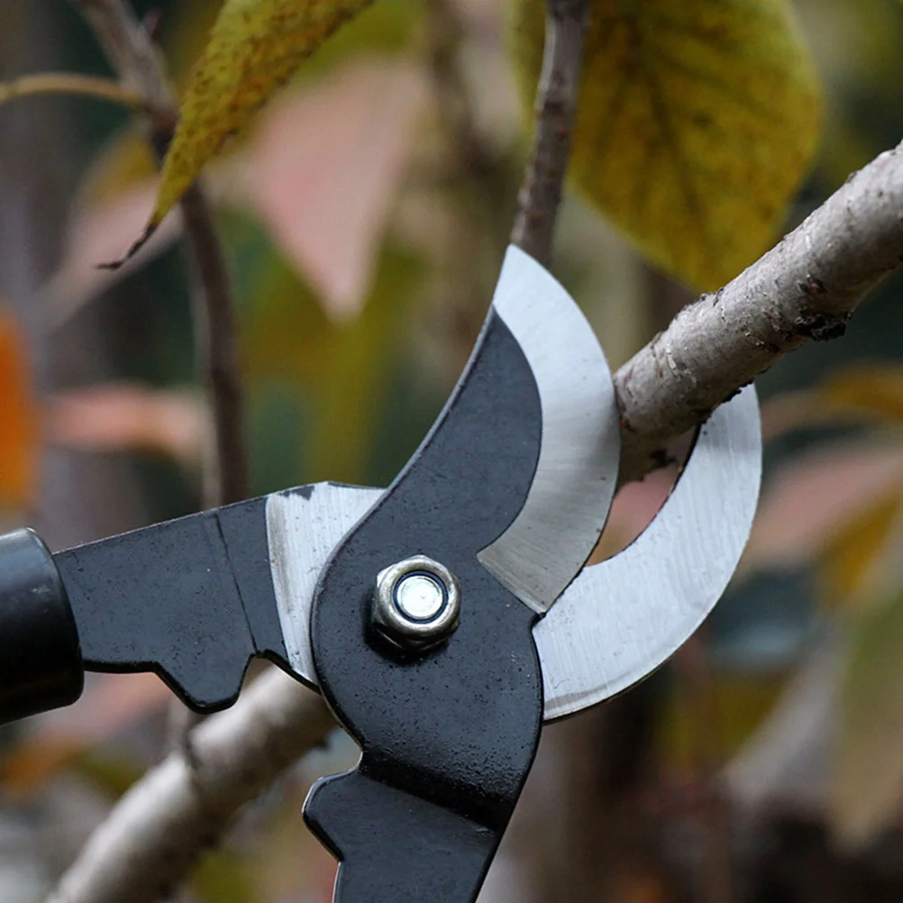 

1Pcs High Efficiency Pruning Shears Sturdy Design Smooth Branches Twigs Perfect Gift for Gardeners Bonsai Tool