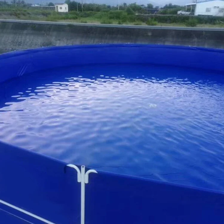 Para contenedor de plástico, tanque de peces Tilapia para acuicultura, cultivo de peces, estanque para cultivo de peces