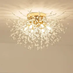 Crystal LED Ceiling Light, Modern Decoration, Living Room, Dining  Home Indoor Lighting, Kitchen, Bedroom