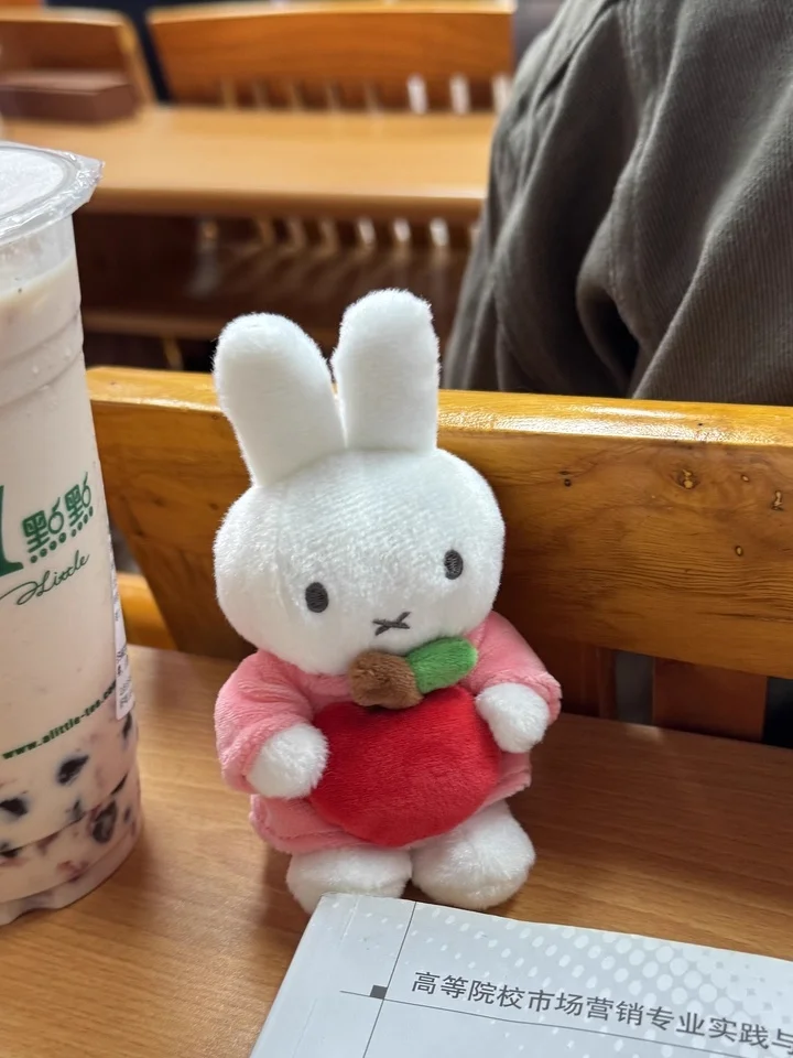 لعبة ميفي الأصلية وحقيبة زينة لعبة أرنب ميفي، لعبة عصرية، هدايا عيد ميلاد لطيفة للأطفال والفتيات متوفرة في المخزون #4