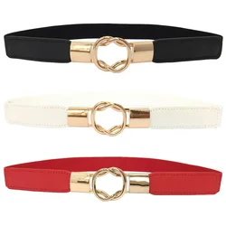 New Fashion Women's Belt Elastic Waistband Gold Circle Buckle Small Belts Red Thin Cummerbund Woman Belt Strap Brown