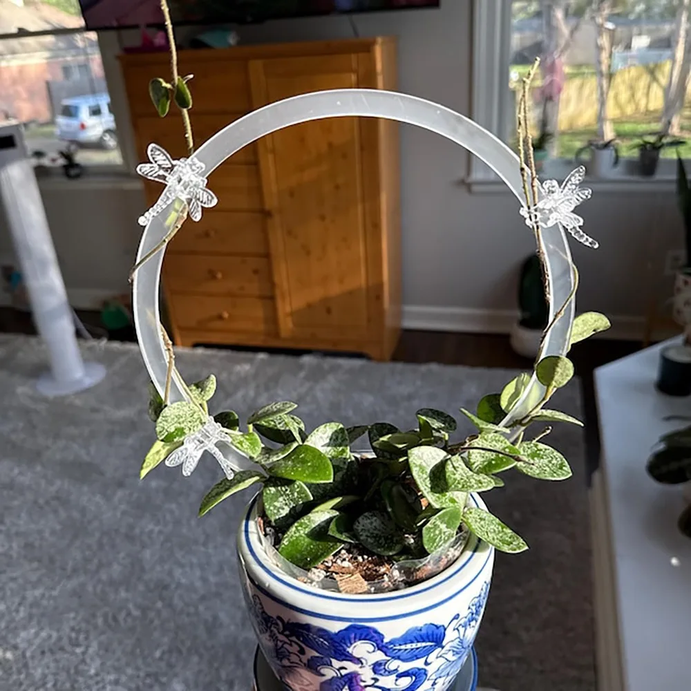 

1 шт., креативная прозрачная решетка для растений, пластиковая круглая дорожная опора для растений, украшение рамки для поддержки растений