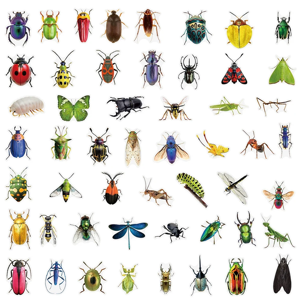 10/30/50 Stuks Cool Transparant Insect Kever Sticker Pack Realistische Dier Graffiti Decals Waterdichte Sticker Diy Notebook bagage