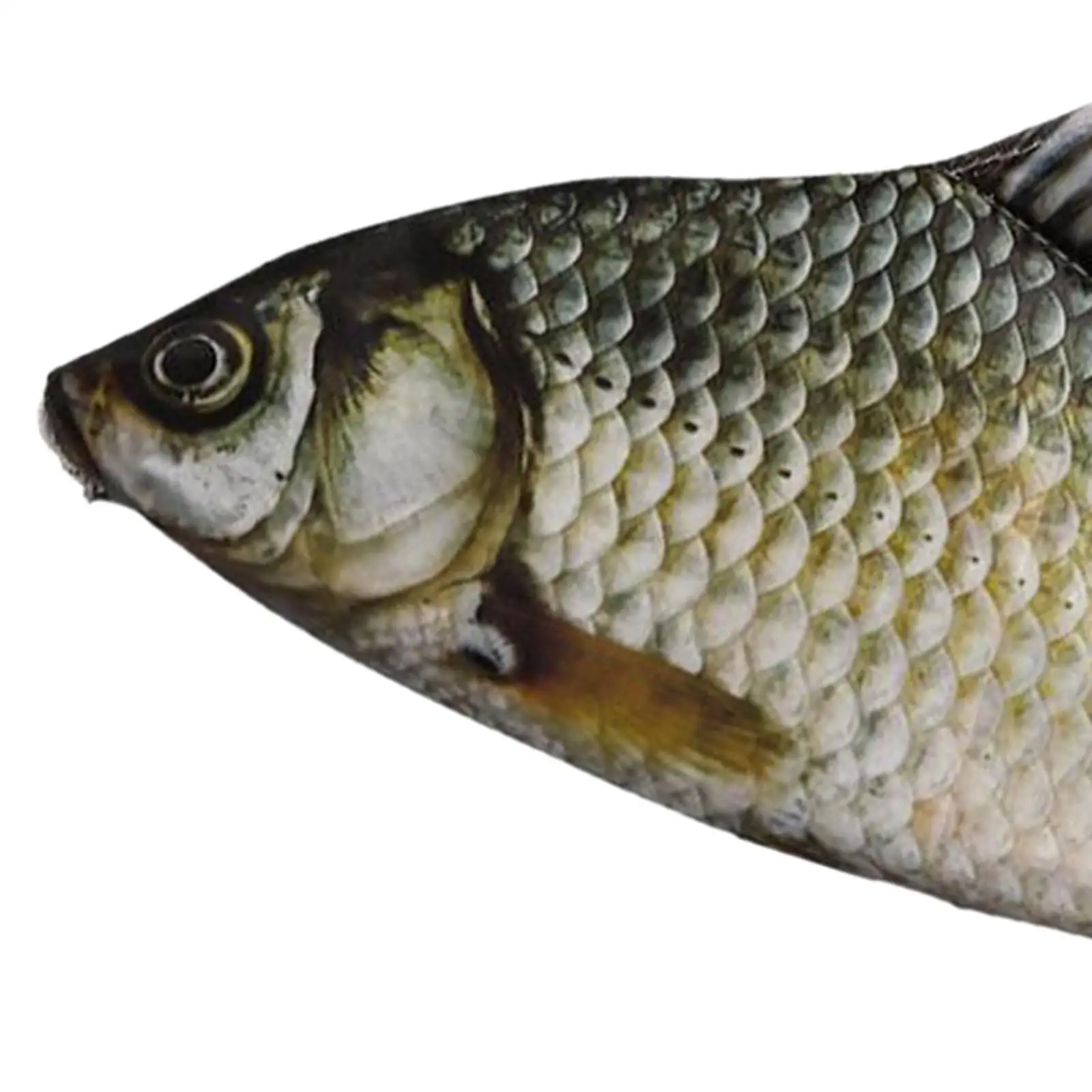 Crucian ปลาคาร์พดินสอปากกาเครื่องเขียนสําหรับชายเด็กผู้หญิงผู้ชาย